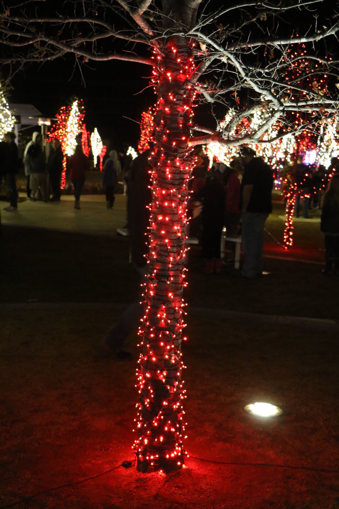 Lights on Owasso
